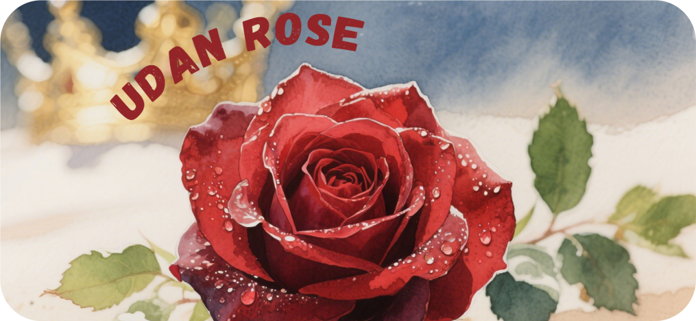 Deep in Saudi Arabia grows a magical flower—the Udan rose!